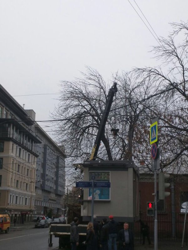 Shawarma-geddon continues in Moscow as city official vows to rid city of the tasty Lebanese street food. 