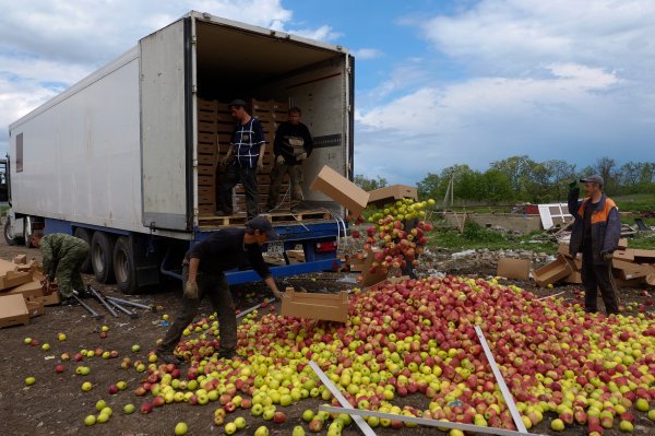 178 tons of apples from Europe bulldozed in Russian region of Rostov  