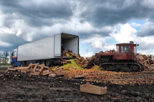 178 tons of apples from Europe bulldozed in Russian region of Rostov  