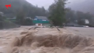 New wave of floods are expected in Primorsky Kray