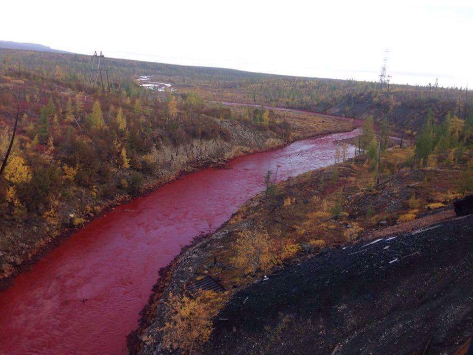 Daldykan River in Russia's Krasnoyarsk region turns bloody red 