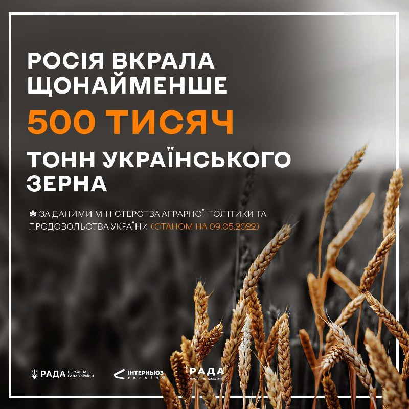 Rusia ha robado al menos medio millón de toneladas de cereales de Ucrania: Ministerio de Política Agrícola