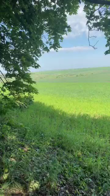 Polish Piorun MANPADS at work. Soldiers of the 95th Airborne Assault Brigade shot down russian Ka-52 helicopter