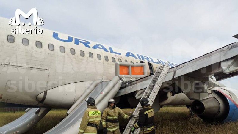 Airbus A320 Уральских авиалиний совершил вынужденную посадку в поле под Новосибирском, пострадавших нет