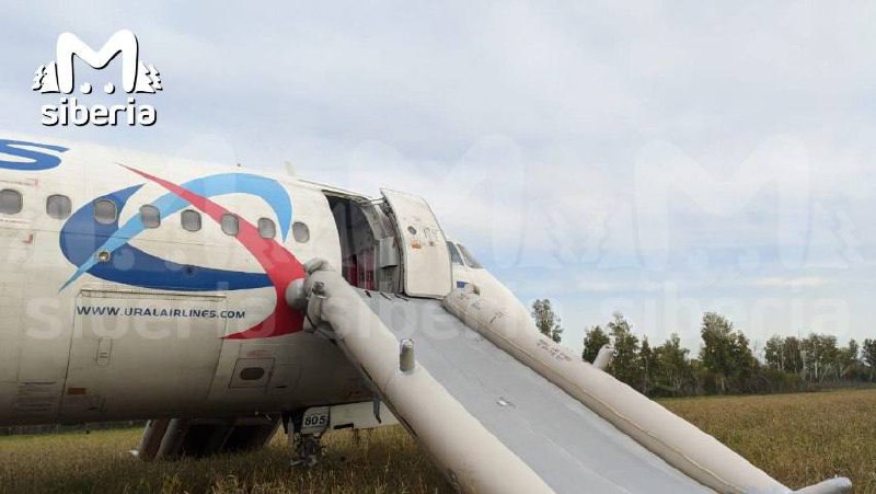 Airbus A320 Уральских авиалиний совершил вынужденную посадку в поле под Новосибирском, пострадавших нет