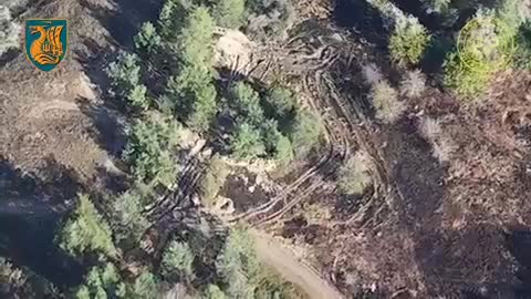 Ukrainska marinsoldater förstörde två ryska stridsvagnar nära Krynky, Kherson oblast