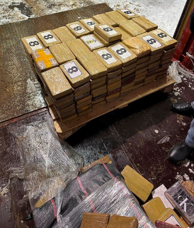 1200 kilo kokain beslagtogs i St.Petersburgs hamn