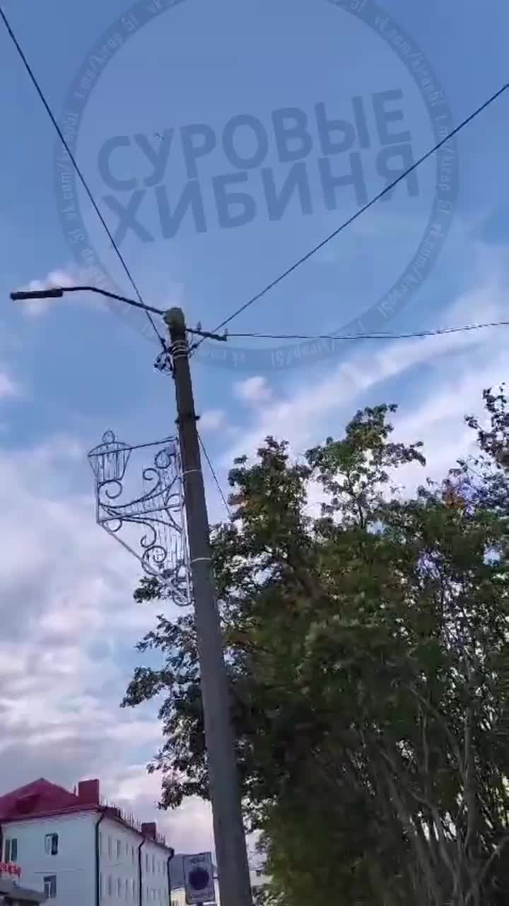 Məlumata görə, Murmansk vilayətinin Kirovsk şəhəri üzərindən Olenya aviabazasına doğru uçan pilotsuz təyyarə lentə alınıb.