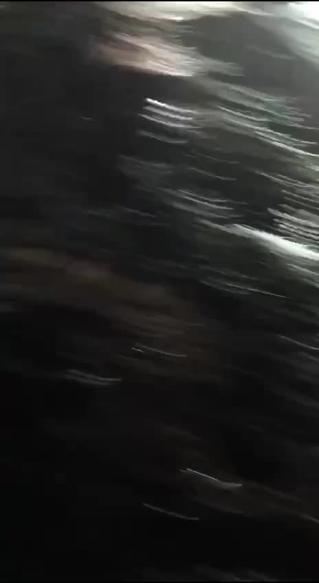جرف نهر مينوسينكا في مينوسينسك، إقليم كراسنويارسك، حاجزًا ترابيًا. وحذرت وزارة الطوارئ من خطر فيضانات قد تطال 120 مبنى سكنيًا.