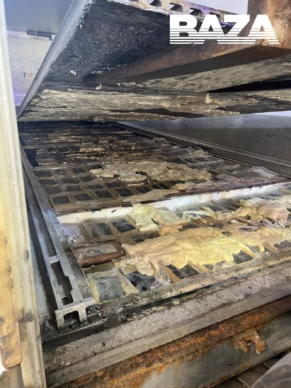 Customs and FSB officers found 820 kilograms of cocaine worth 12 billion rubles in the port of St. Petersburg