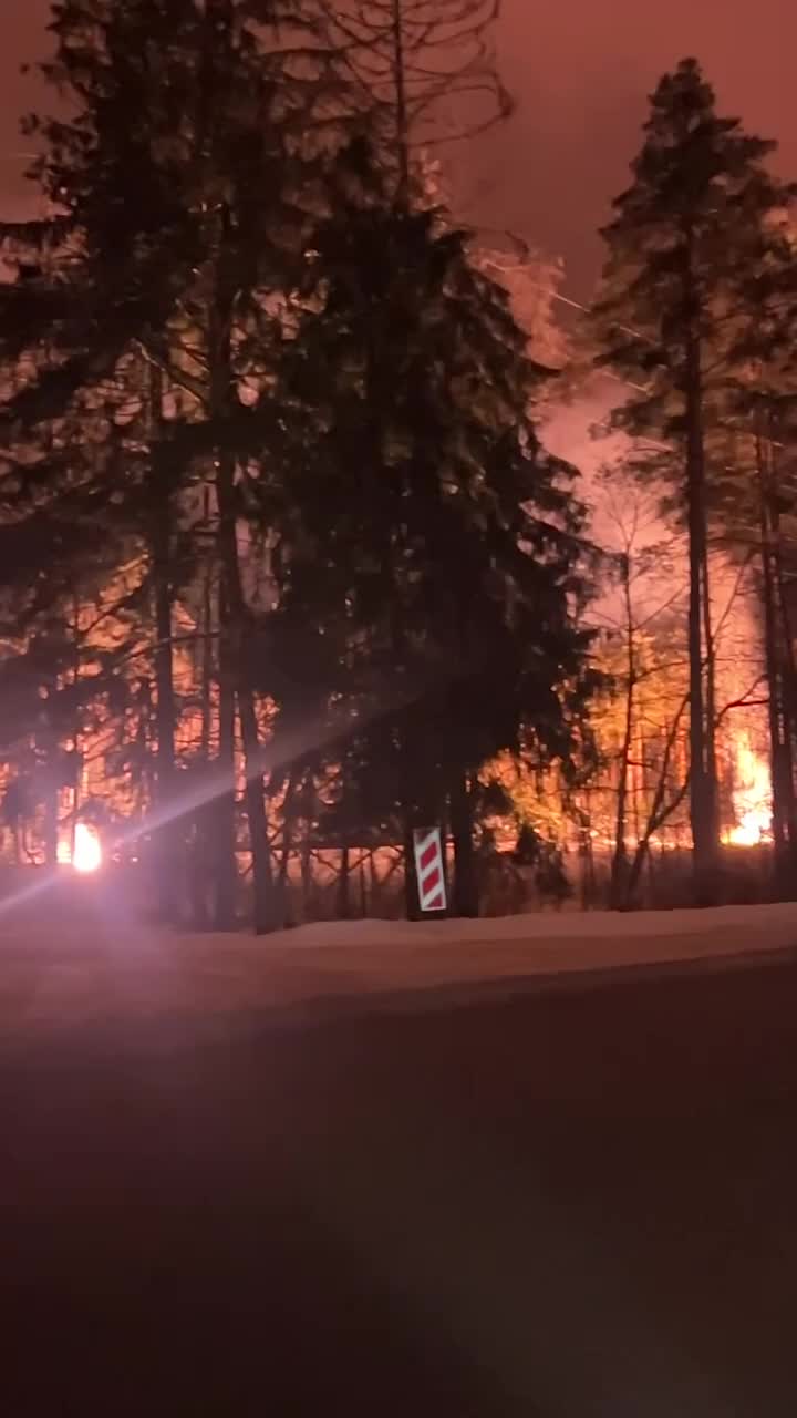 Blackout reported in Vyborg of Leningrad region